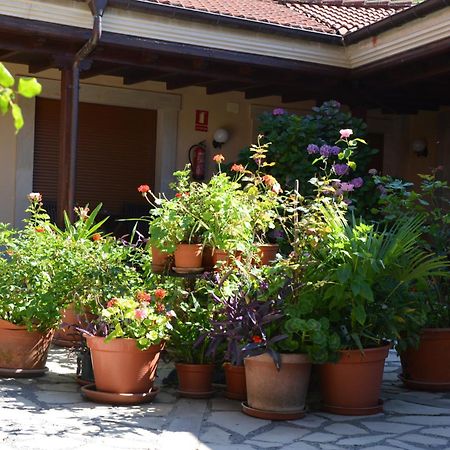 Hotel Arenas De Cabrales- Apartamentos Экстерьер фото