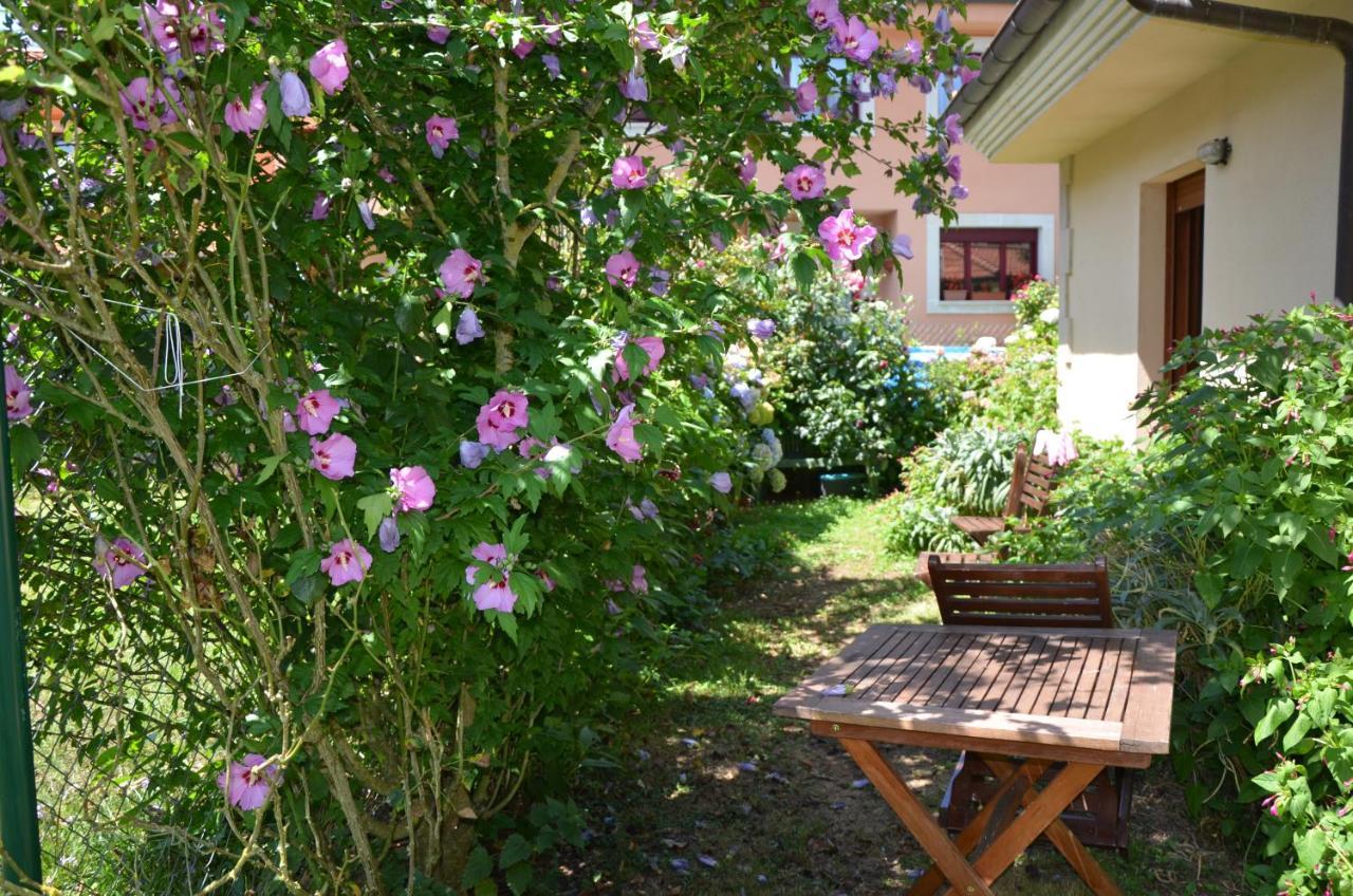 Hotel Arenas De Cabrales- Apartamentos Экстерьер фото
