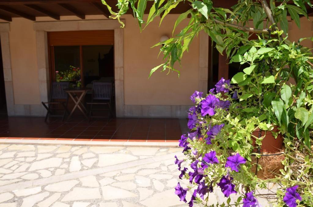 Hotel Arenas De Cabrales- Apartamentos Экстерьер фото