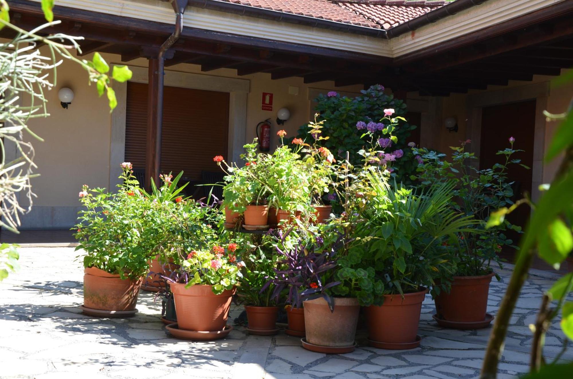 Hotel Arenas De Cabrales- Apartamentos Экстерьер фото